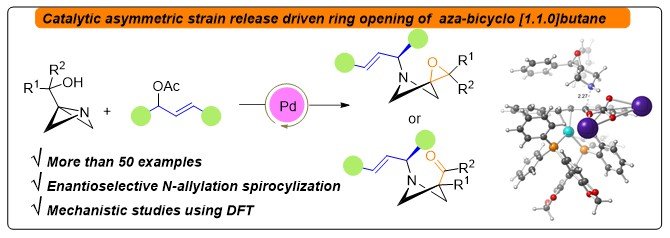 Catalytic & Enantioselective Ring      Opening of Azabicyclo[1.1.0]Butyl Carbinols via N-Allylation of Strained Tertiary